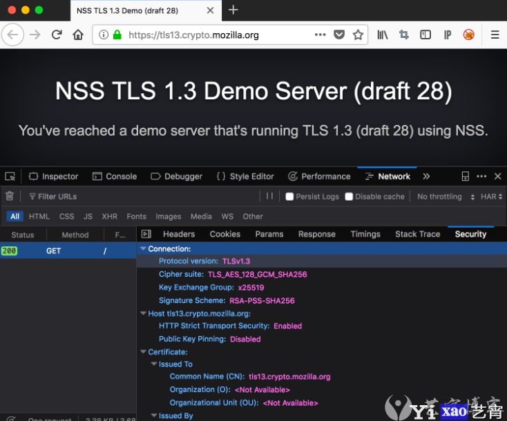 如何测试&查看浏览器是否支持TLS 1.3