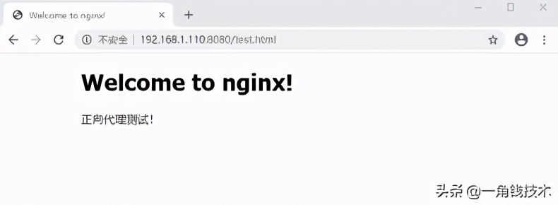 Nginx 正向代理与反向代理实战