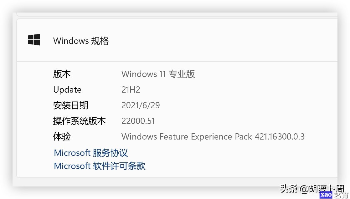 Windows 11 首个公开预览版发布「附下载」