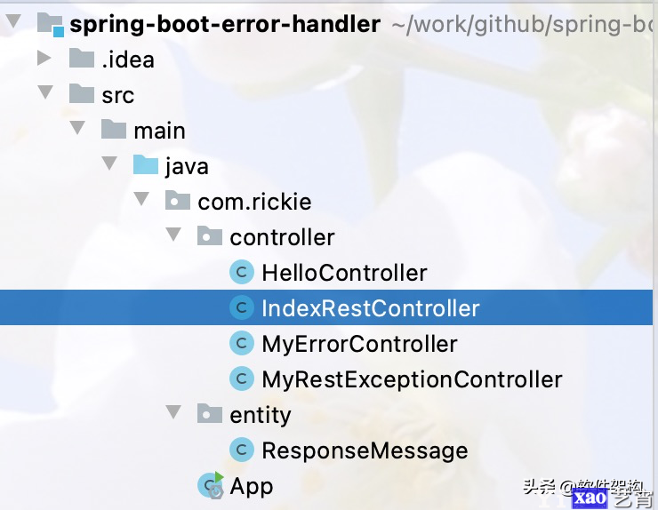 Spring Boot全局异常处理入门-基于@RestControllerAdvice异常类