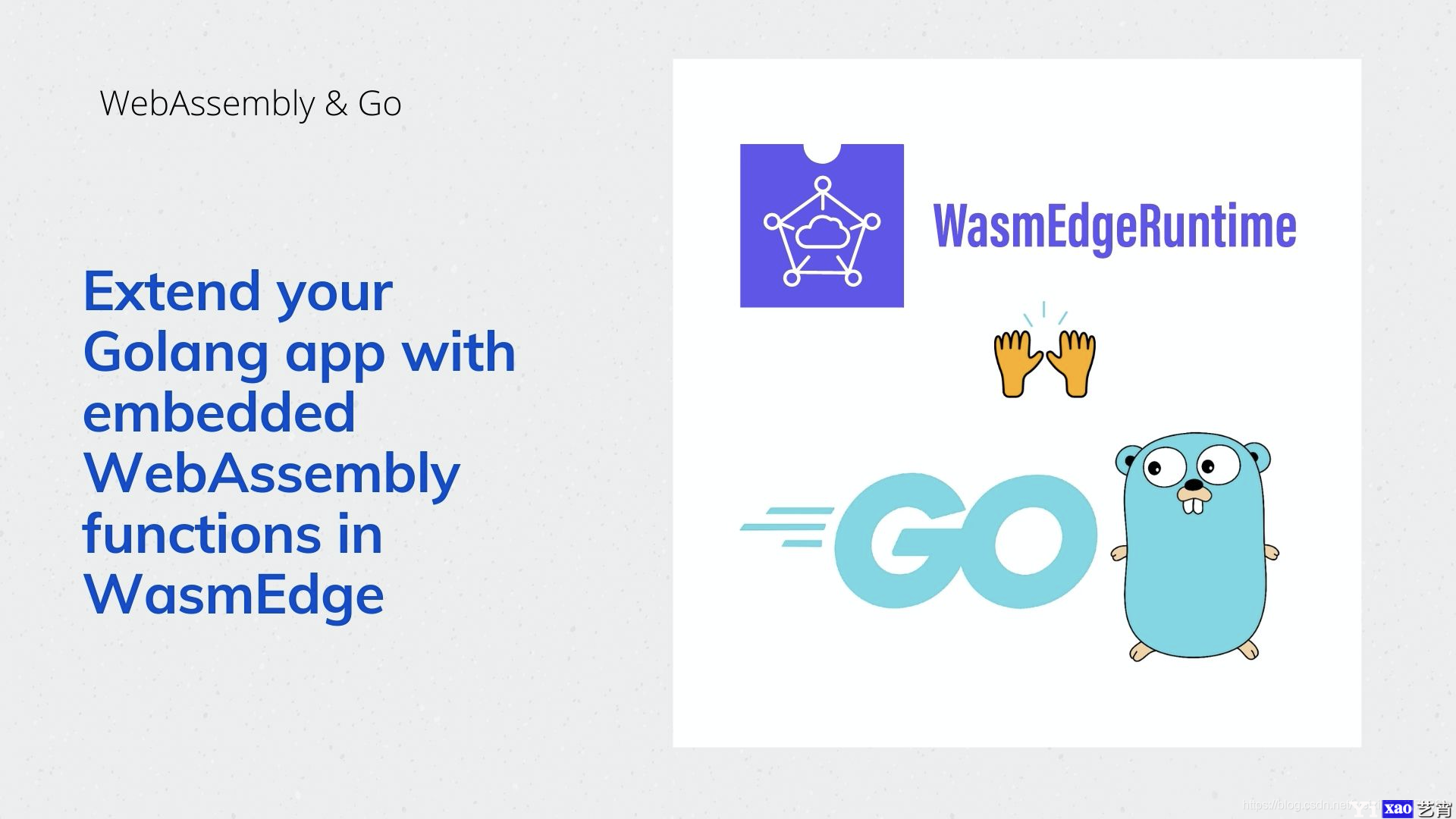 通过 WasmEdge 嵌入WebAssembly 函数扩展 Golang 应用