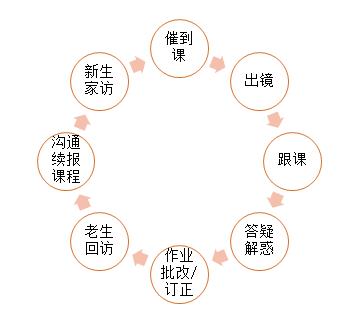 图：辅导老师工作内容及流程图