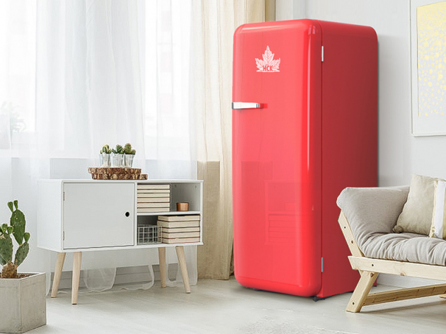 颜值当道，HCK哈士奇复古冰箱更要做实力派！